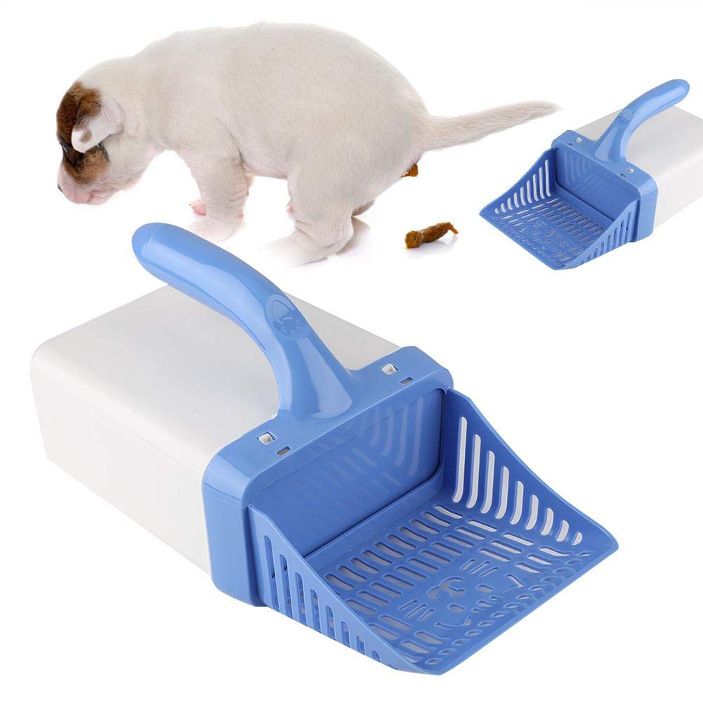 Kattekuld strøelse skovl katte strøelse sifter hule pænere scoop hund sand rengøring 2 in 1 hvalp toiletbakke kasse sand scooper