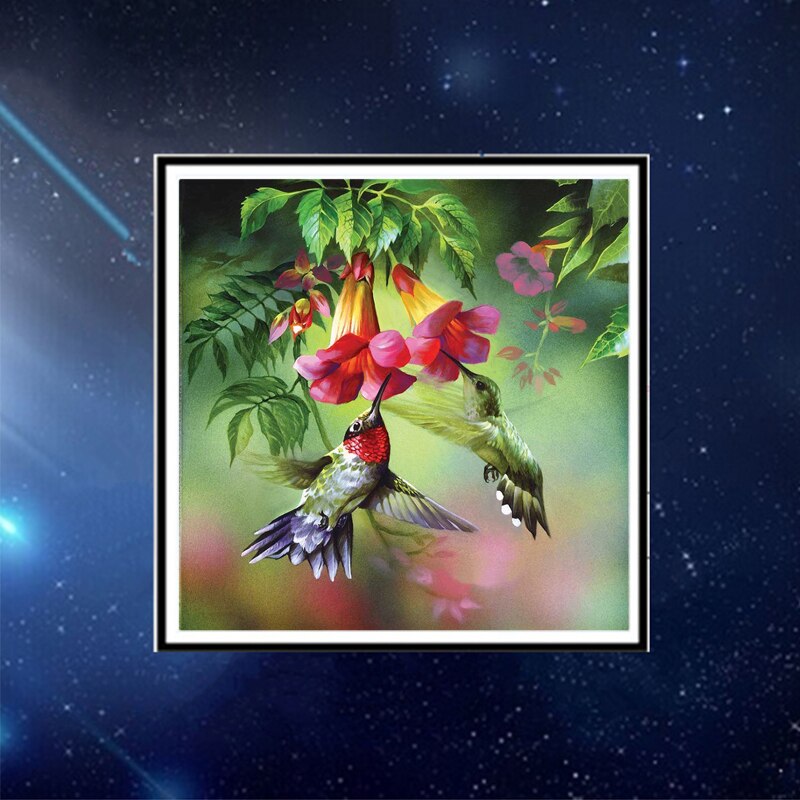 Blxecky 5d diy diamond painting par numéro cerf-volant oiseau (12 x 12 pouces /30 x 30cm)  tob