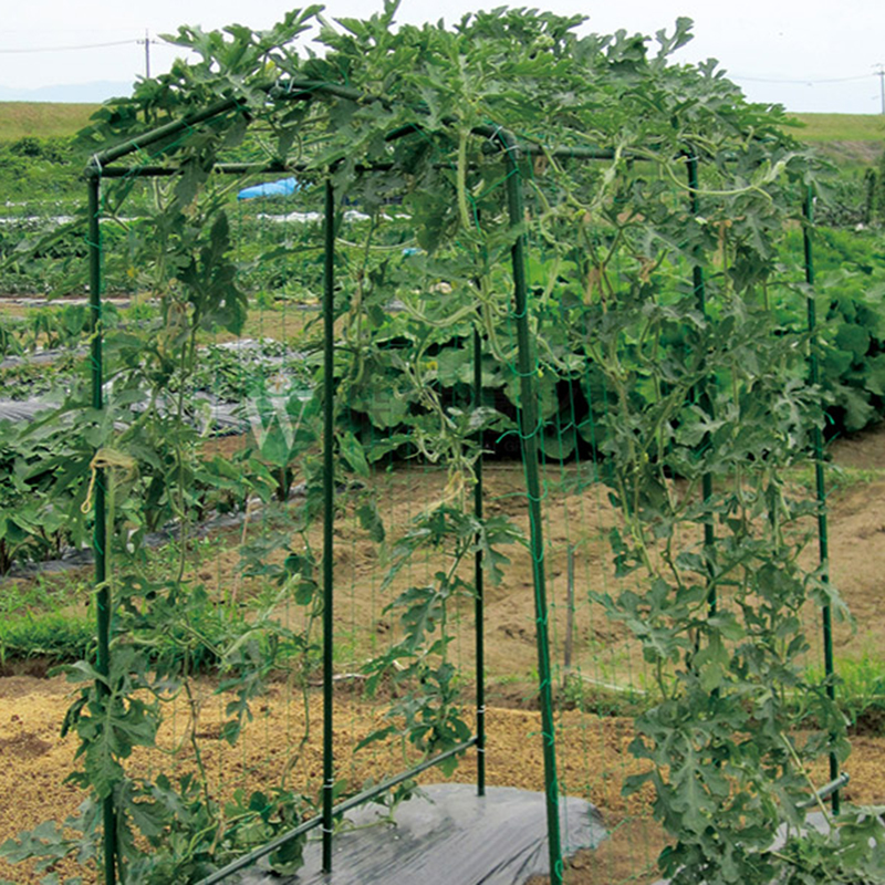 24 Strands Square Hole Plant Climbing Net Square Hole Garden plant Shelves Net Vegetable Flower Net Garden Weaving Grow Frame