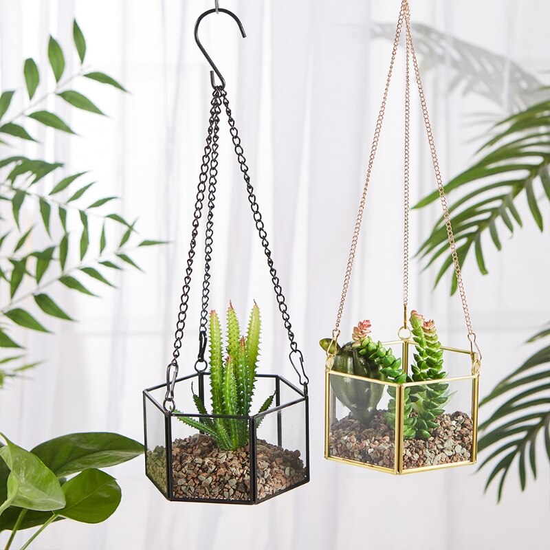 Terrario colgante moderno de cristal, terrario geométrico en forma hexagonal, soporte para clavel de aire, contenedor de pared, maceta para flor
