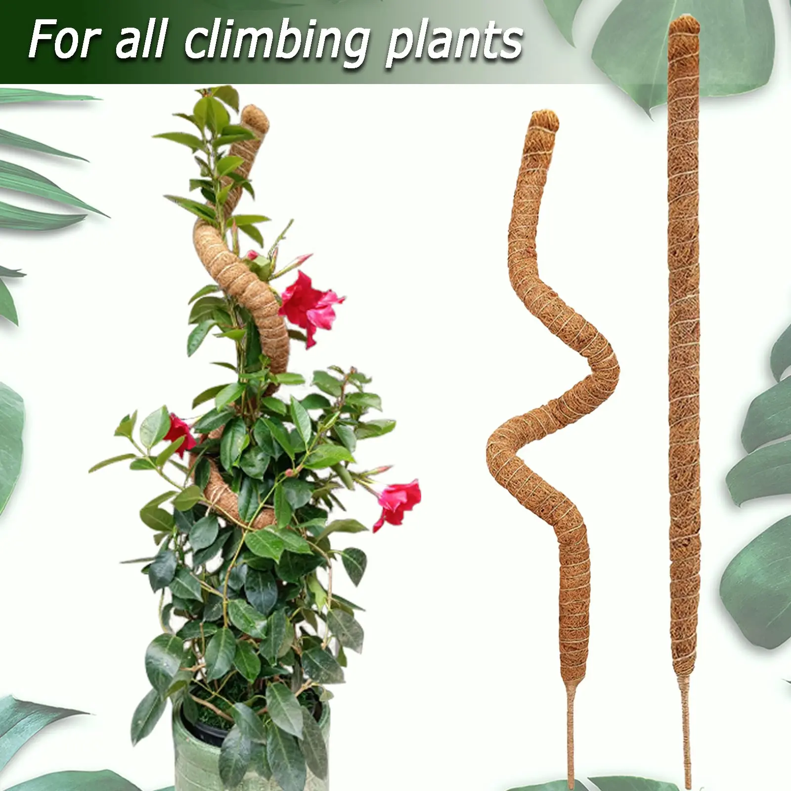 DIY Beeldhouwen Plant Klimpaal Gebogen Kokosnoot Stok Gratis Beeldhouwen Plant Klimpaal Mospaal Tuinbouw Bruine Kolom