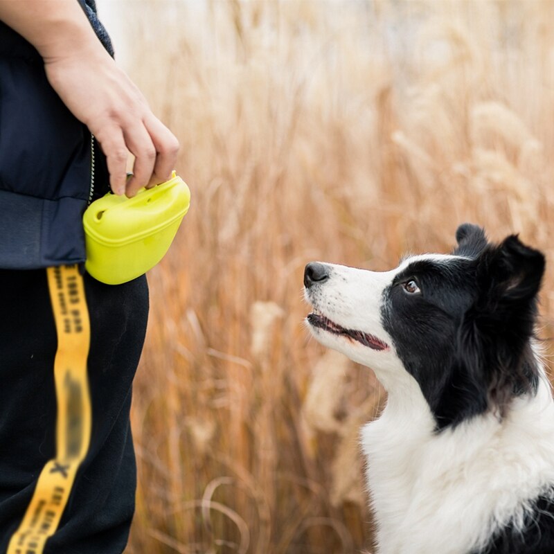 Pet Portable szkolenia psów talia torba Treat Snack Bait psy posłuszeństwo zwinność pokrowiec na zewnątrz karma jedzenie nagroda saszetki na pas