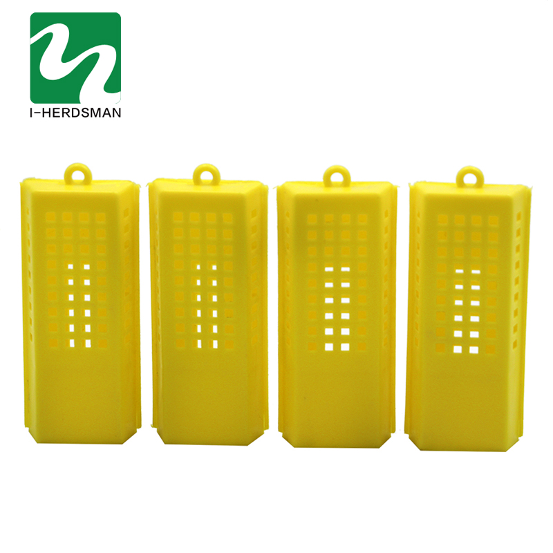10 Pcs Imker Transparante Koningin Kooien Insect Apparatuur Koningin Huis Bijenkorf Bijenteelt Gereedschappen