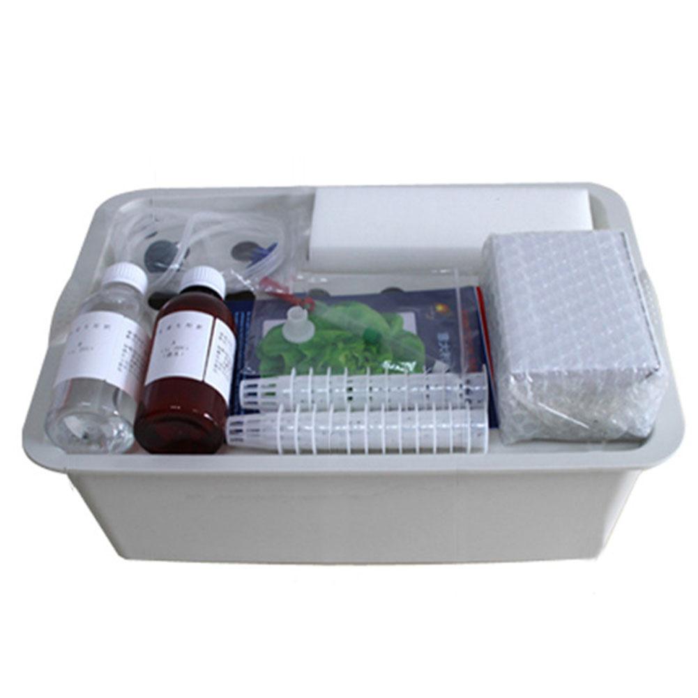 LanLan 24 Gaten Site Hydrocultuur Doos Kit voor Plantenbakken Zaailing Groenten Groeiende