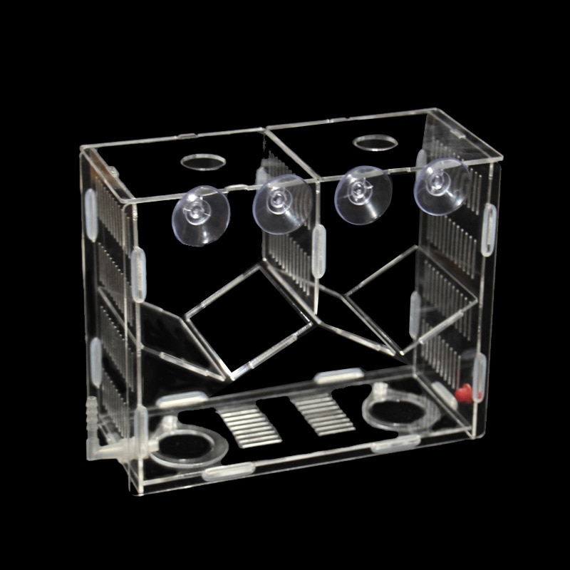 Peacock breeding box acrylic fish tank peacock hatching box breeding box fry isolation box