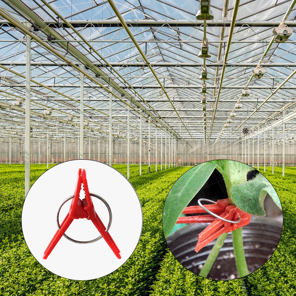 50pcs Plastic Grafting Graft Clips Garden Plant Support for Vegetable Flower Tomato Stalks Fix Grow Upright Grafting Tool Garden