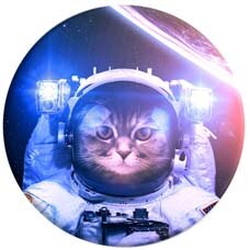 100% originale Ufficiale Rotonda Donut попсокет per I Telefoni Flessibile Supporto Del Telefono Presa Tasca Espansione Del Basamento e Anello di Presa попсокет: Colour 2