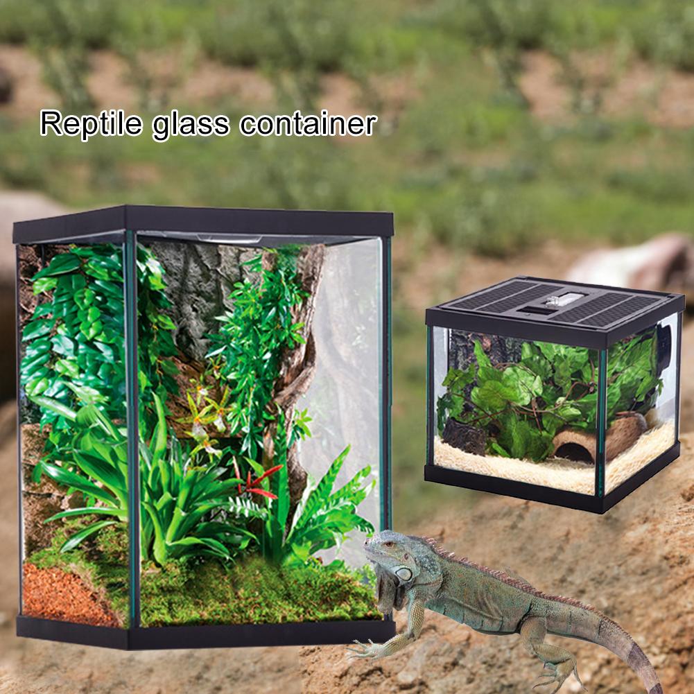Reptile Glass Terrarium Natural Comfortable Glass Crawling Box Turtle Feeding Box Container
