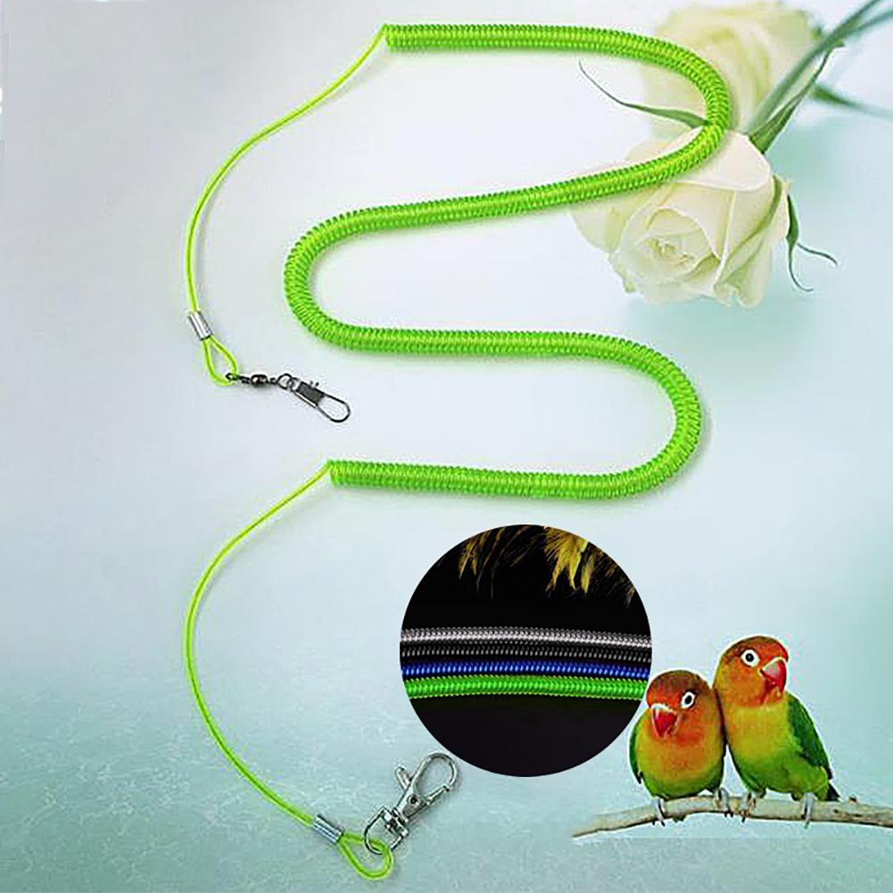 Laisse pour oiseaux, type d&#39;extension, pour entraînement en vol, sangles en corde, perruches, fournitures pour perroquets