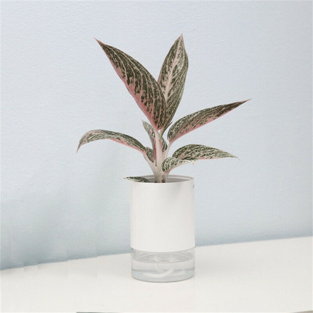 flower pot Plants Flower Pot Auto Watering Self Irrigation Hydroponic Water Storage Vase горшок для цветов