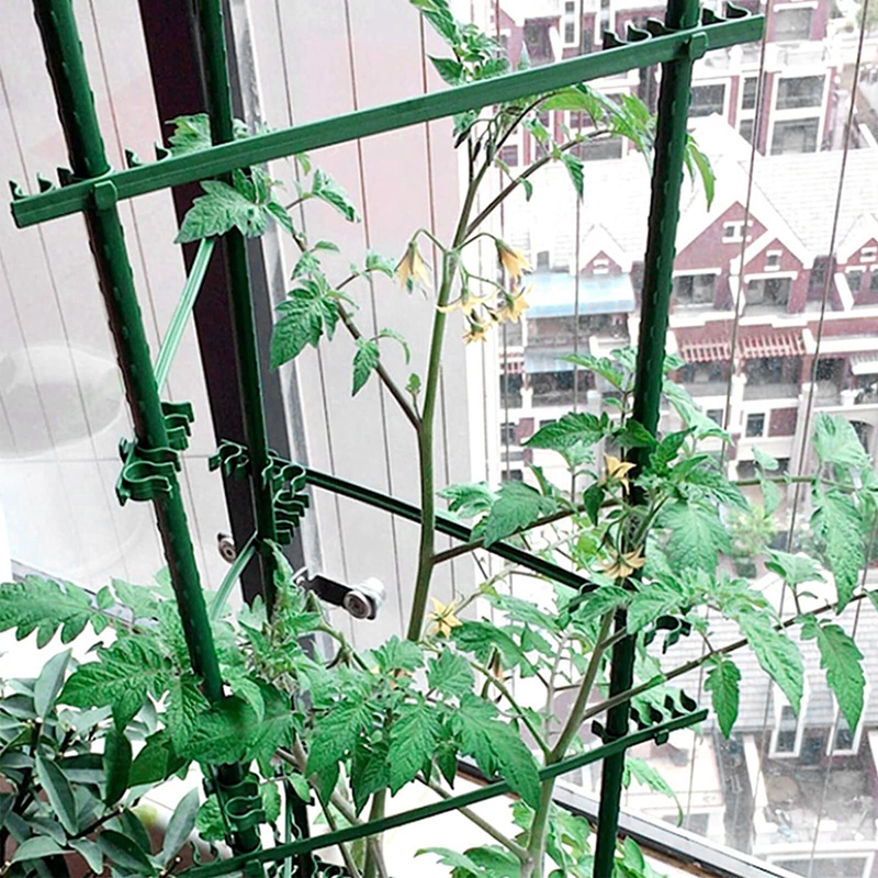 Gabbie per pomodori pali di supporto per piante da giardino Set traliccio per verdure all'aperto per piante rampicanti verticali 84 pezzi