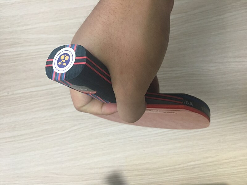 Hybrid Wood 9.8 Brand Table tennis racket double face Pimples-in blue rubber Ping Pong Racket tenis de mesa: CS handle