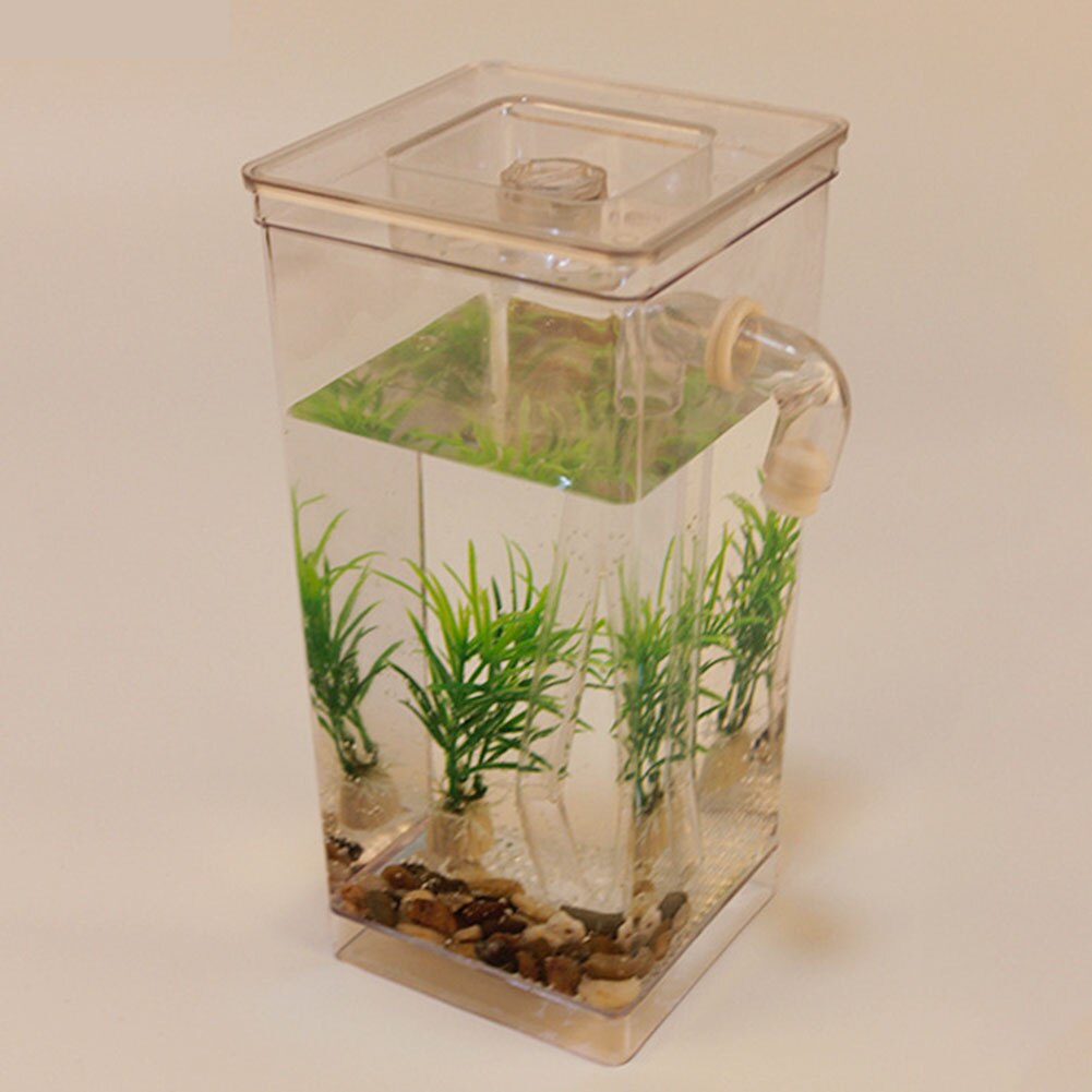 Desktop Ecological Fish Tank Grass Mini Home Decor Aquarium Self-cleaning Fun Kit Aquatic Pet Supplies Goldfish Tank