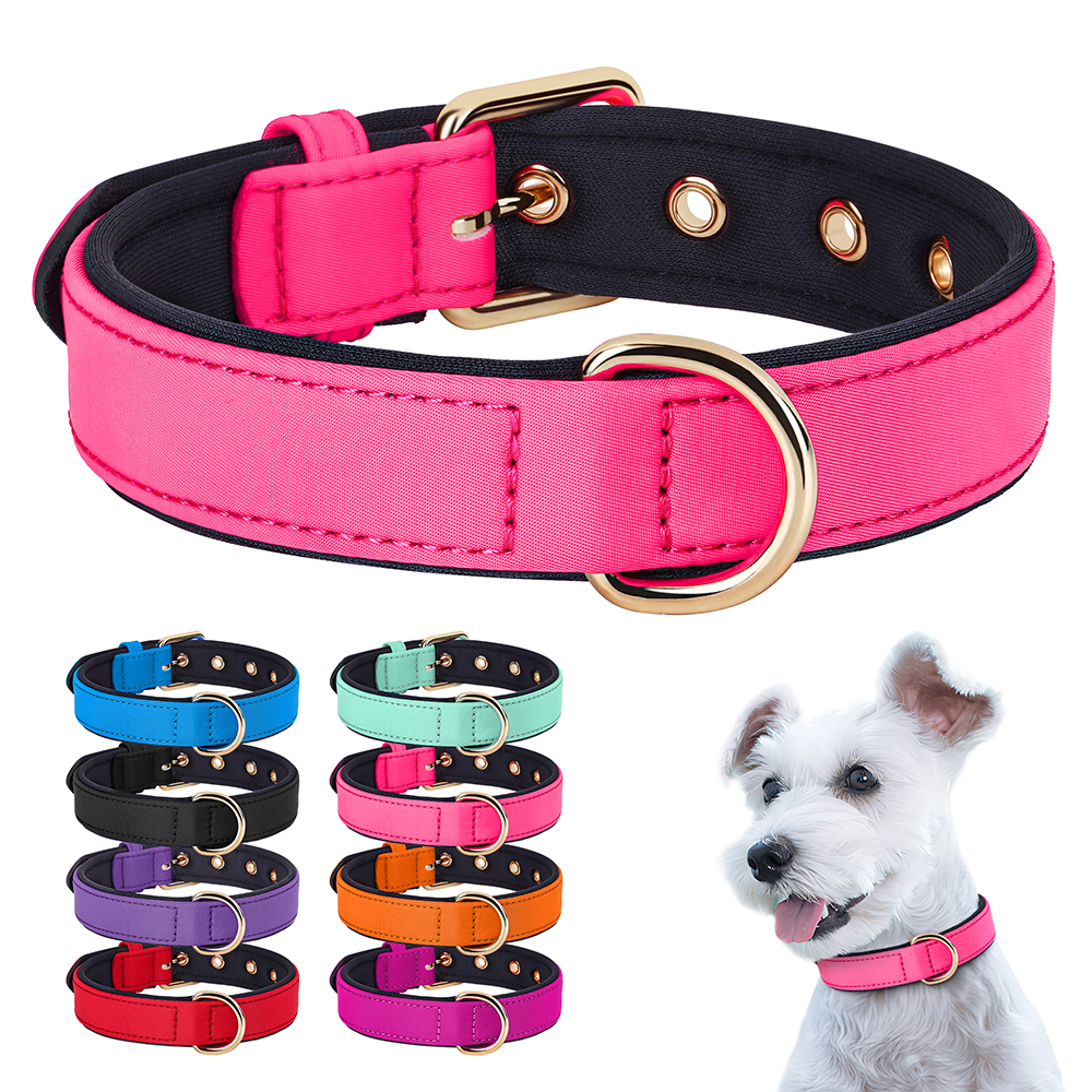 Collier en nylon imperméable pour chien, 8 couleurs, doux, rembourré, respirant, colliers pour animaux de compagnie, petits et moyens chiens, Chihahua, PDPDog, accessoires