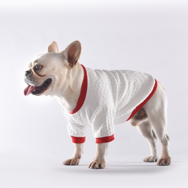 Kæledyr efterår og vinter bund trøje vild twist t-shirt sweater hund fransk bulldog keji teddy lille hundetøj