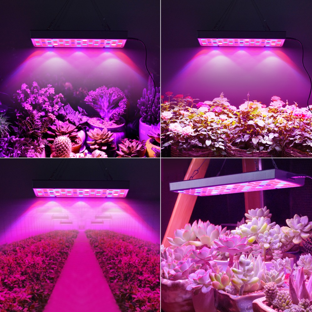 5W 25W 45W Growing Lamp LED Plant Growth Light Full Spectrum Plant Grow Light Lighting Phytolamps For Plants Flowers Cultivation