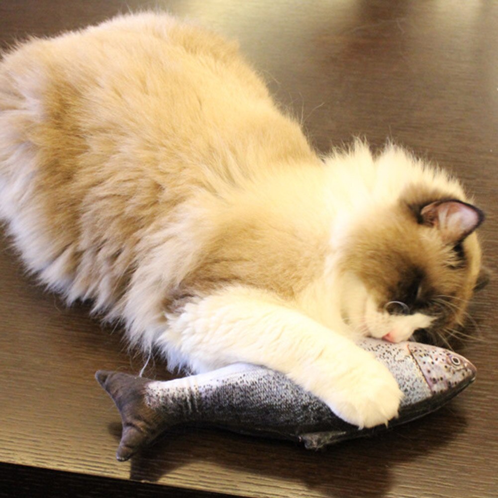 Poisson chat jouet drôle animal de compagnie jouets électriques 3D Simulation poisson USB Simulation danse saut mobile charge poisson chat jouant jouet