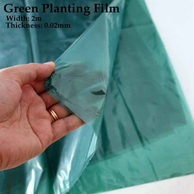 5 ~ 40m bredde :2m grønn planting film hage landbruk drivhus film planter omsorg beskytte dekke vegetabilsk ingefær vokse mulch film: 10 måler