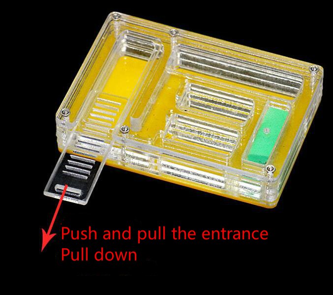 Ants feed box Acrylic ants nest ants watch box pet... Grandado