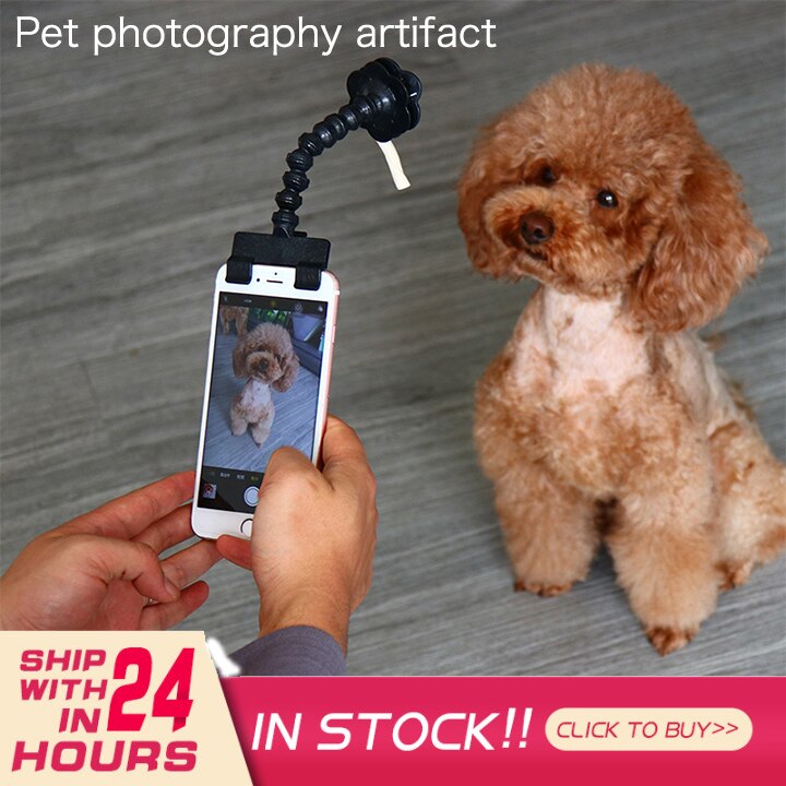 Verstelbare Pet Pvc Selfie Artefact Honden En Katten Interactieve Training Speelgoed Kijken Naar De Camera Mobiele Telefoon Clips Honden Accessoire