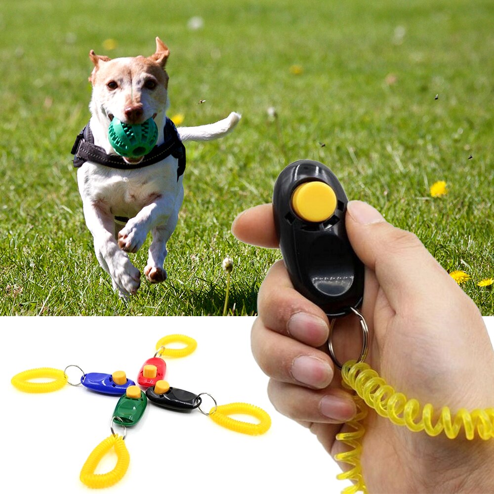 1 pc Pet Kat Hond Training Clicker Plastic Honden Trainer Hulp Te Verstelbare Polsband Geluid Sleutelhanger