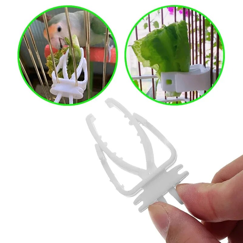 Soporte de comida para pájaros pequeños y bonitos, Clip para loros, frutas y verduras, dispositivo alimentador de huesos de sepia, abrazadera, accesorios para jaulas de pájaros