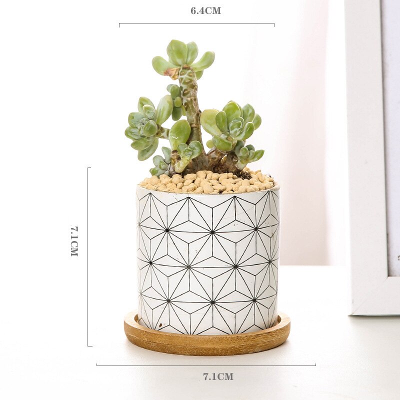 Modern Geometric Pattern Ceramics Flower Pot for Succulent Plant Nordic Style Planter Pot Home Garden Office Decoration