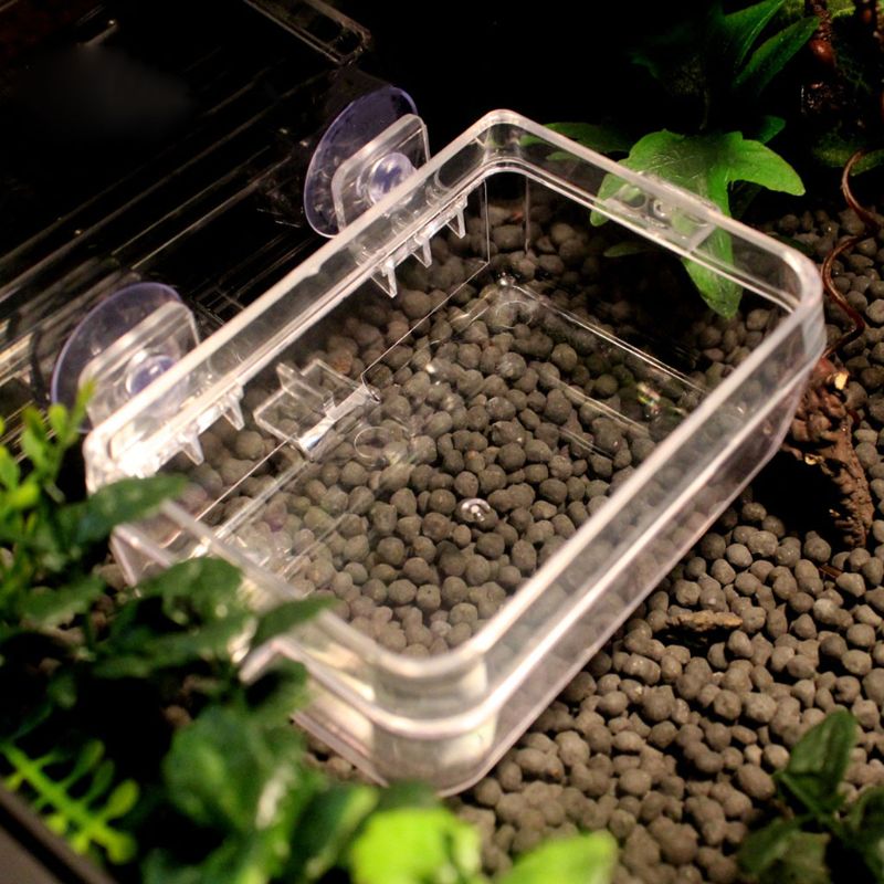 Krypdyrmater anti-flukt mat bolle skilpadde øgle orm levende mat container