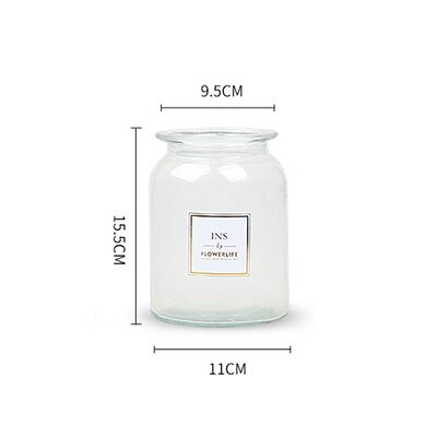 European Decoration Home Glass Vase Flower Vase Flower Arrangement Hydroponic Tabletop Vase for Flower Decoration: Transparent A-S