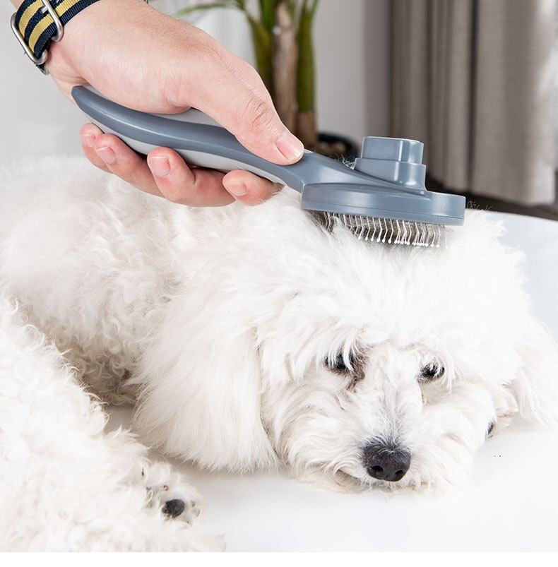 Huisdierhaarverwijdering naaldkam borstel katten hond vlooienkam automatische haarborstel trimmer huisdieraccessoires