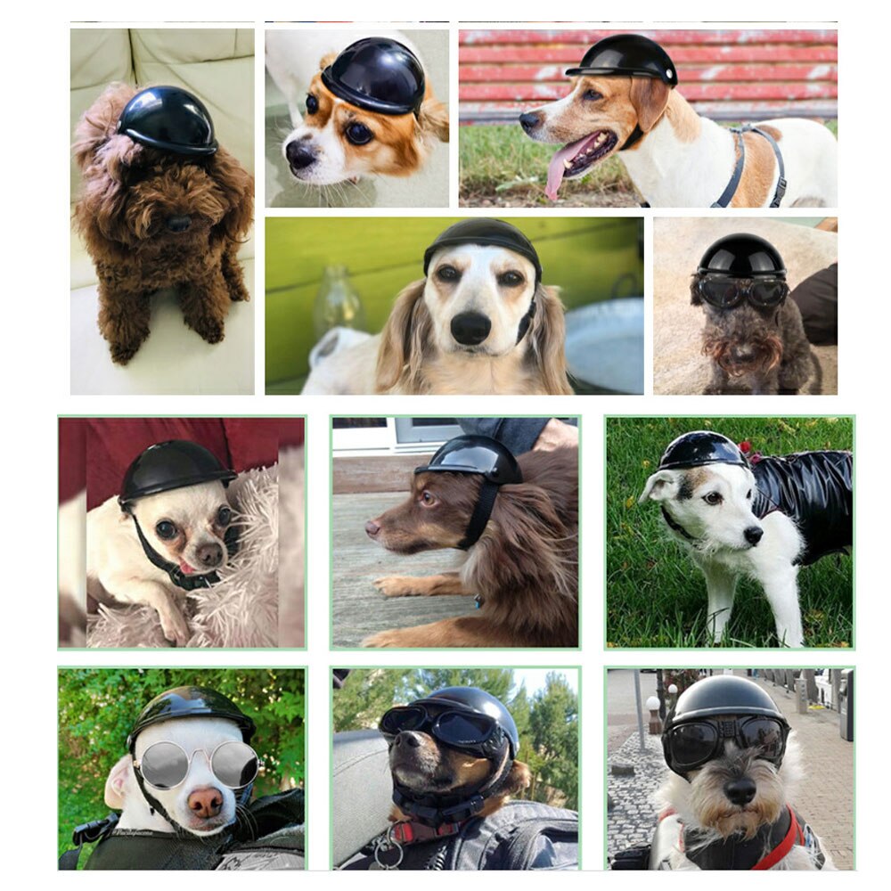 Kask dla psa przystojny plastikowy motocykl bezpieczeństwa motocykle pies szczeniak ochraniać czapka dla małych średnich psów S M artykuły dla zwierząt