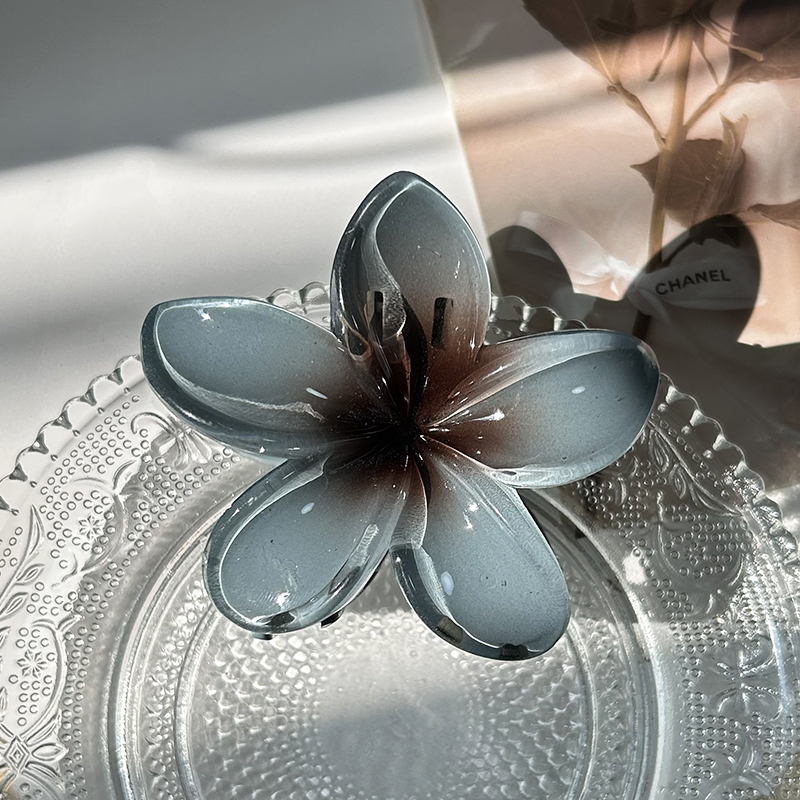 Pinces à cheveux fleur pour femmes, grande pince à cheveux bohème, épingles à cheveux, barrettes pour filles, accessoires pour cheveux de plage, vêtements de sauna, ,: Plaqué Rhodium