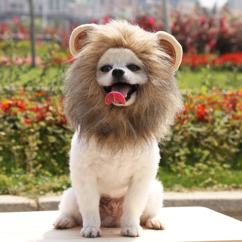 Hond Cap Halloween Huisdier Leeuw Grappige Leuke Animal Kostuum Cosplay Leeuw Pruik Kat En Hond Hoofdtooi Hoed Dierbenodigdheden