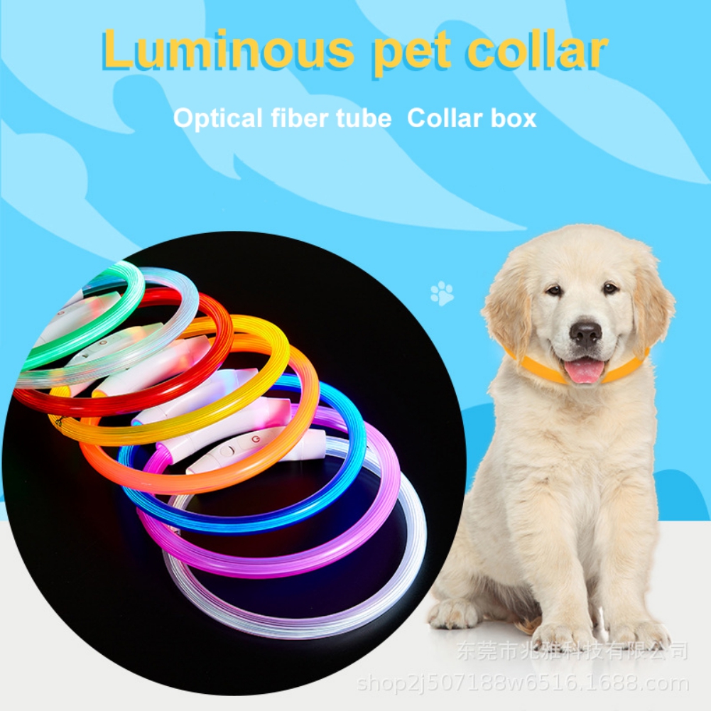 Glowing Pet Dog Collar Rechargeable Led Dog Collar Anti-Lost Dog Collar Luminous LED Night Safety Flashing Light Up Pet Necklace