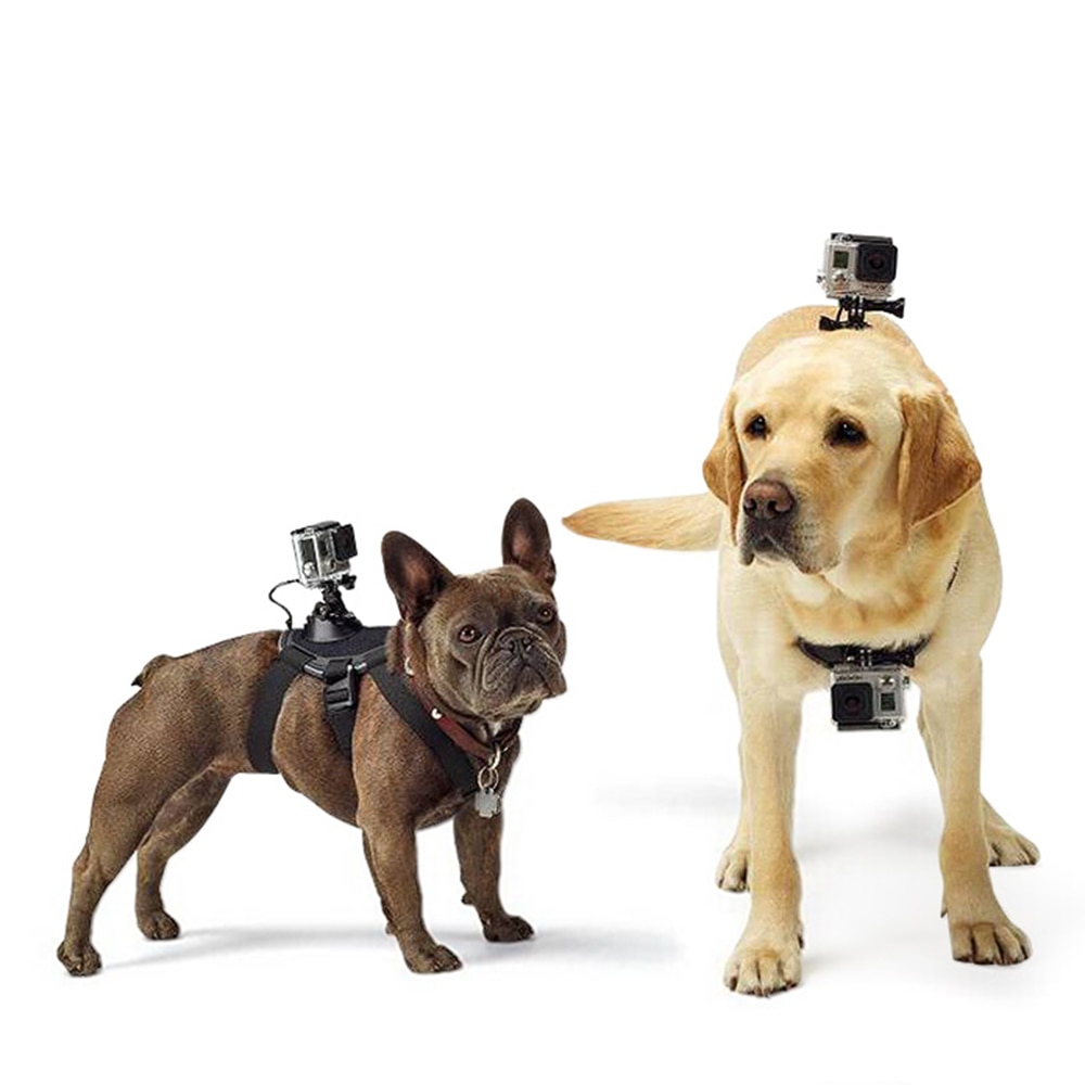 Correa de perro ajustable para Gopro hero8, 7, 6, 5, 4, 3, arnés para perro, correa para el pecho, soporte de montaje para cámara deportiva para SJCAM para Xiaoyi