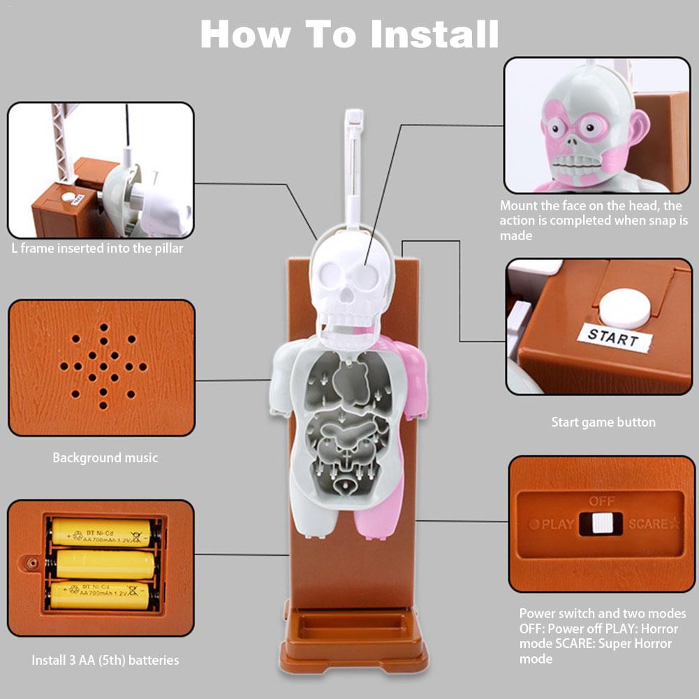 4D Human Body Assembled Model Toy Human Body Structure Model Early Educational Toys Desktop Game Model For Kids Children