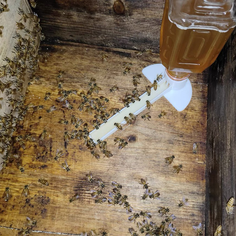 100 Uds. Alimentador de entrada de apicultura, alimentador con tapa, equipo de apicultura, herramienta de colmena, alimentador de abejas de jardín, alimentación de bebidas de agua