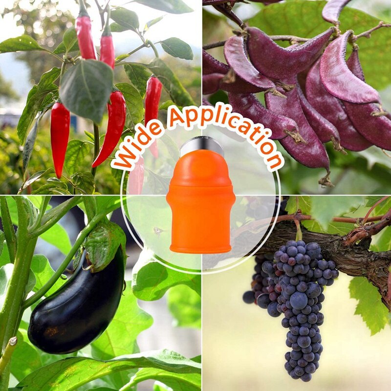 6 Sets Siliconen Duim Mes, Duim Cutter Met Vinger Beschermers Vinger Babybedjes, Voor Oogsten Groente, fruit & Plant