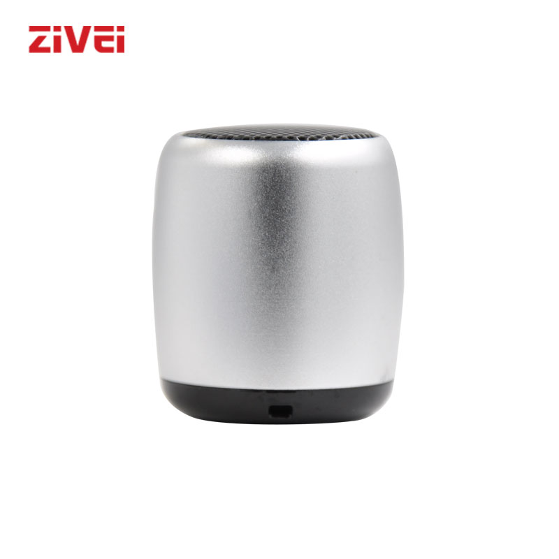 Zivei BM3 Fone Bluetooth Kleine Draagbare Speaker Wired Voor Telefoon Blauw Met Microfoon Outdoor Metalen Bescherming Afstandsbediening: Silver