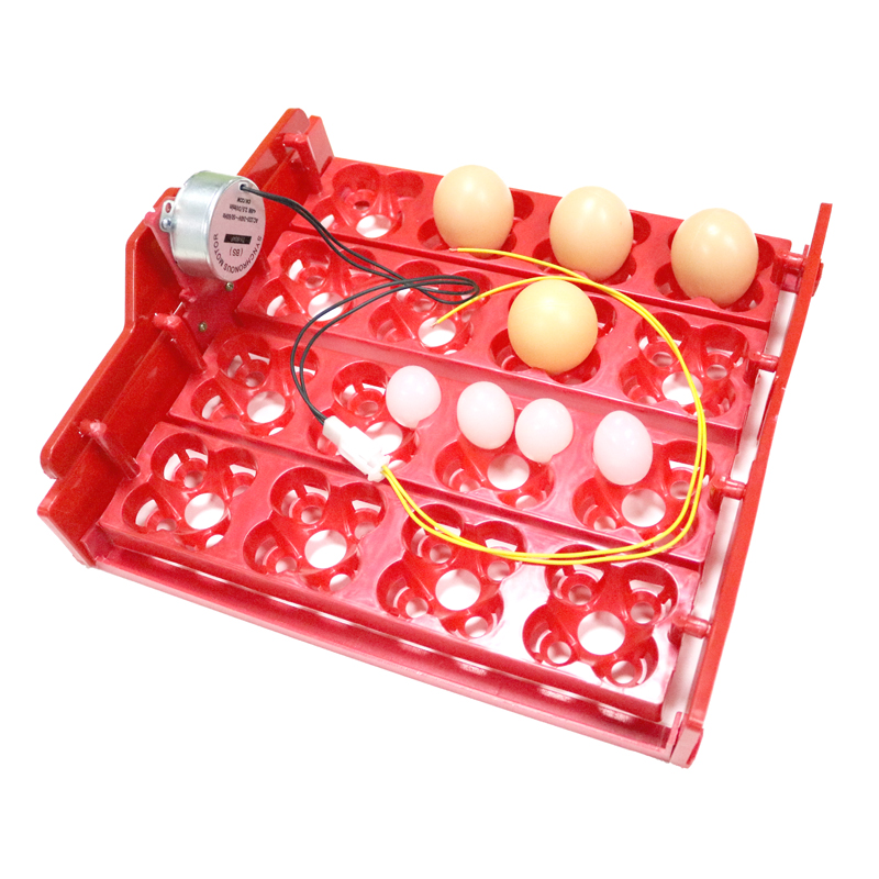 Incubadora de codorniz de 16 o 64 huevos de aves, bandeja de huevos de giro automático, accesorios de incubadora de mano, incubadoras de laboratorio