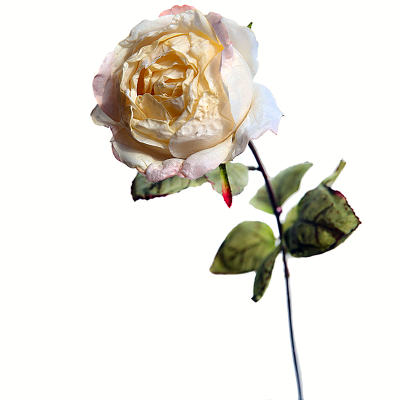 SunMade-Rosas románticas Retro, flores artificiales, decoración para sala de estar, macetas decorativas para boda: White Pink