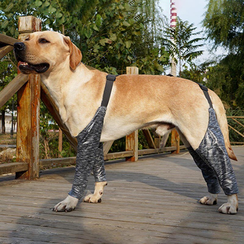 Dog Recovery Shirts Outdoor Four-legged Pants Canine Sling Leg Covers Jumpsuit Anti Licking Wounds Help Operative Healing