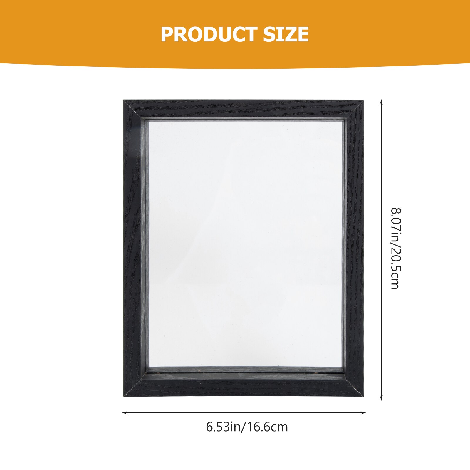 Insect Specimen Display Case DIY Butterflies Ornament Dust-Proof Plant Box