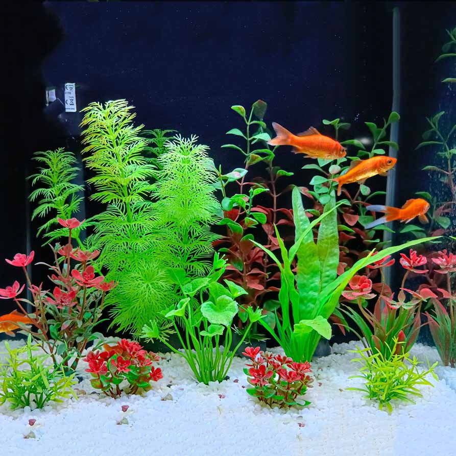 Aquarium Kunstpflanzen 11 Stück Plastik-Wassergras... – Grandado