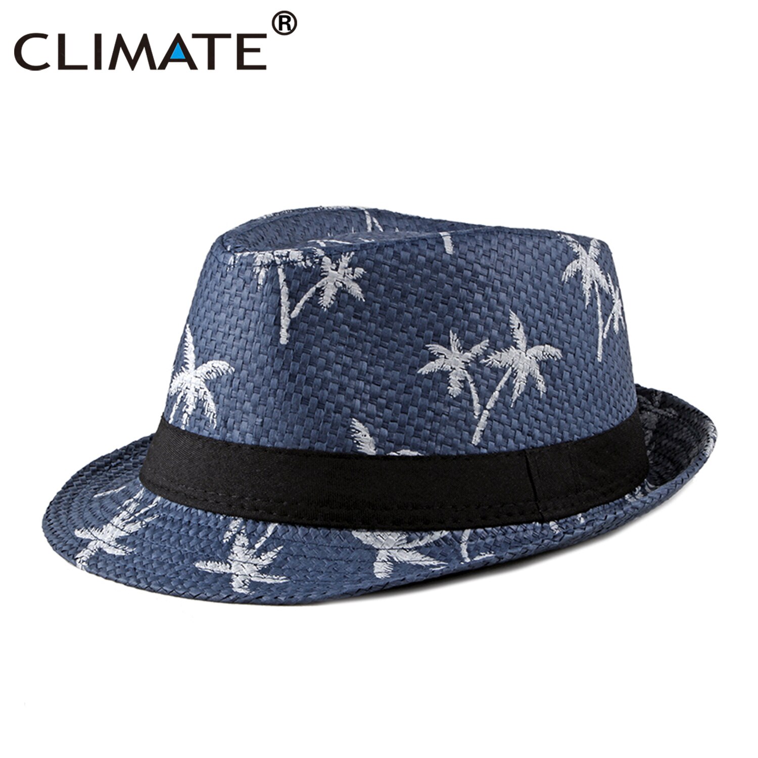 CLIMATE Cool Straw Hat Seaside Beach Cool Coconut Hat Vacation Trip Fedora Panama Straw Hat Paper Retro Fedora Hat Cap: Blue
