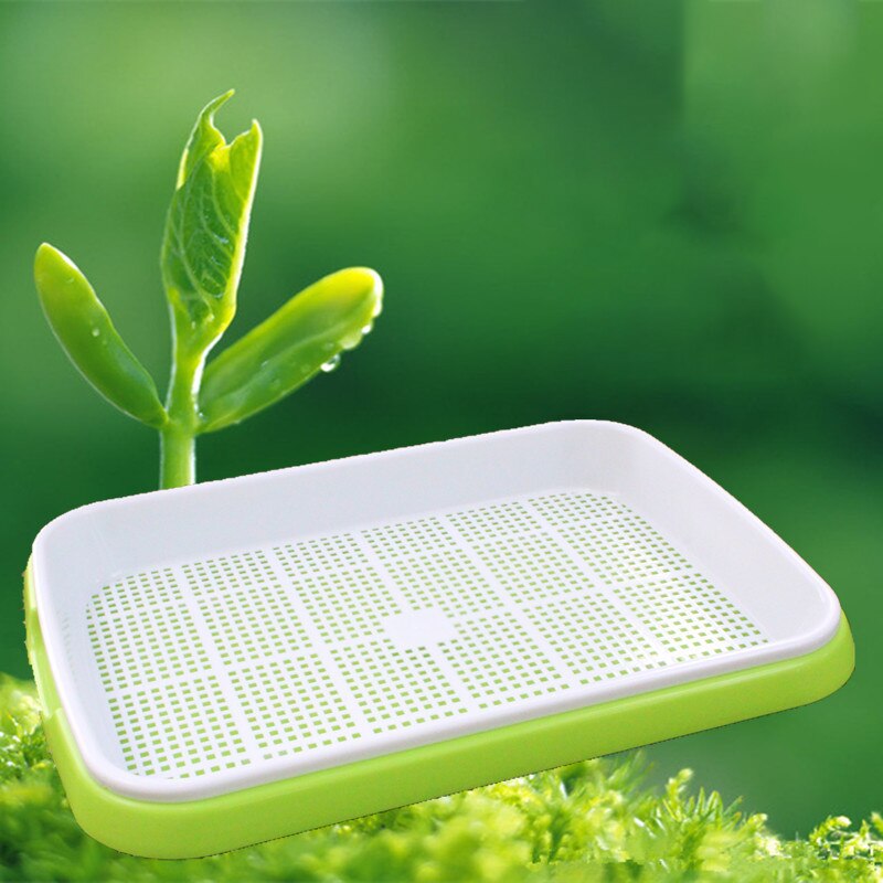 6Pcs Seed Sprouter Trays Seed Germination Tray Hydroponics Gg Kits