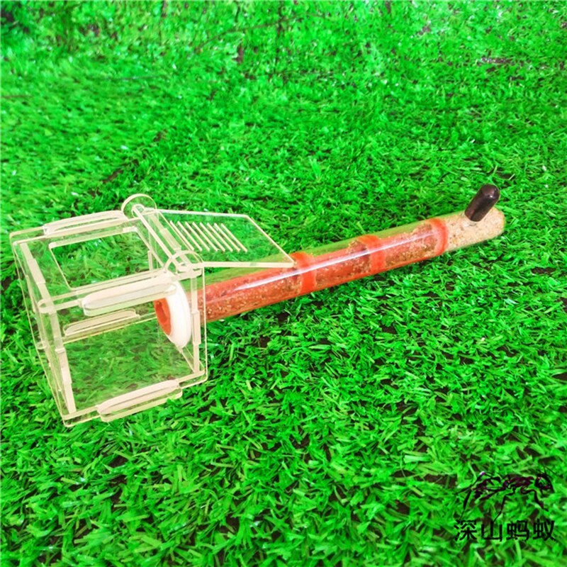 Enkele Reageerbuis Nest Acryl Ant Nest Slub Beton Ant Farm Achter Groep Teelt Gebruik Test Buizen Met Ondersteuning: T005 / Diameter 18mm