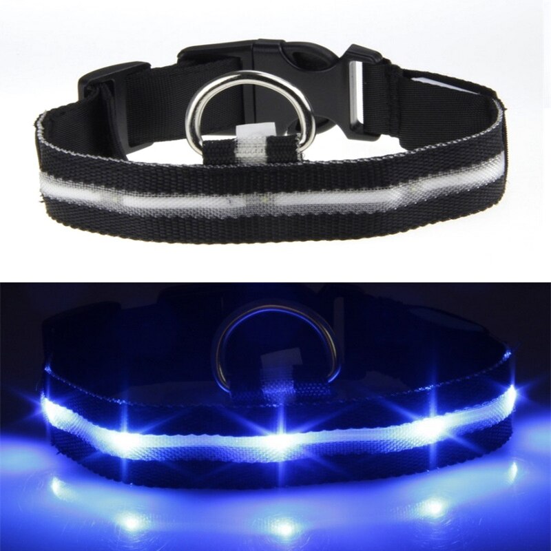 Hunde halsbånd kæledyr hund glødende halsbånd usb genopladeligt blinkende nat katte halsbånd bamse lysende led lys kæledyr halsbånd snor: G87621 / S