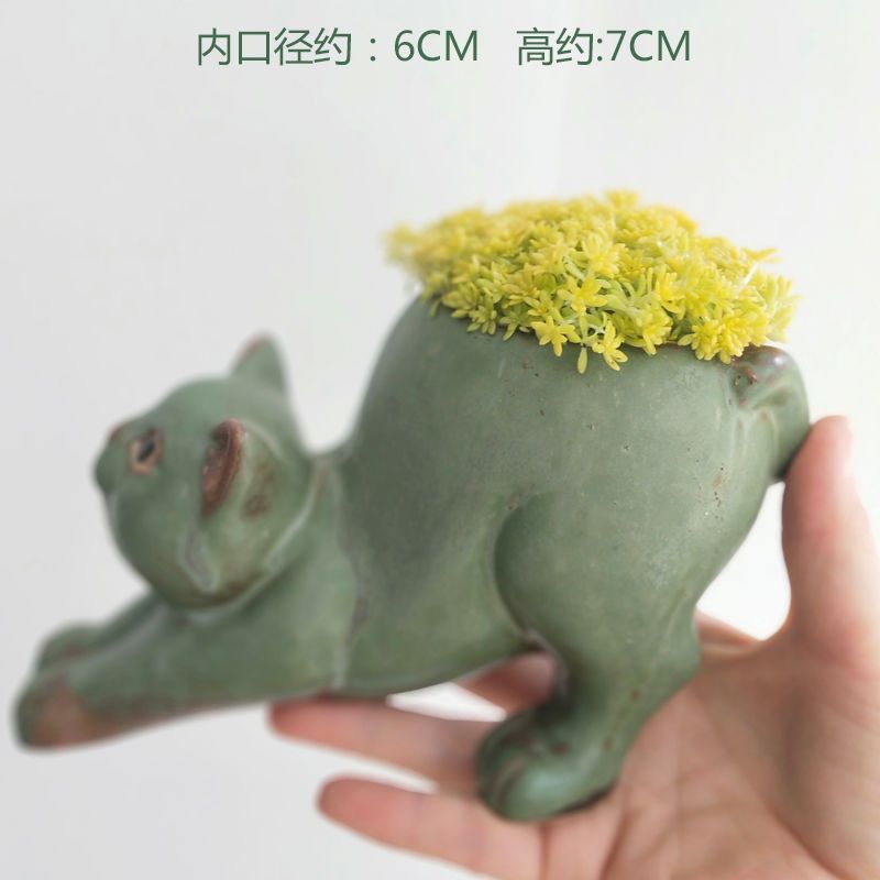 Sukkulenten-Blumentopf, Katze, niedliches Karikatur-Ebene, kreative Persönlichkeit, Spaß, Keramik, Wannian Gras, Affe, Schwanz, Säule, Büro-Ornament: Weiß