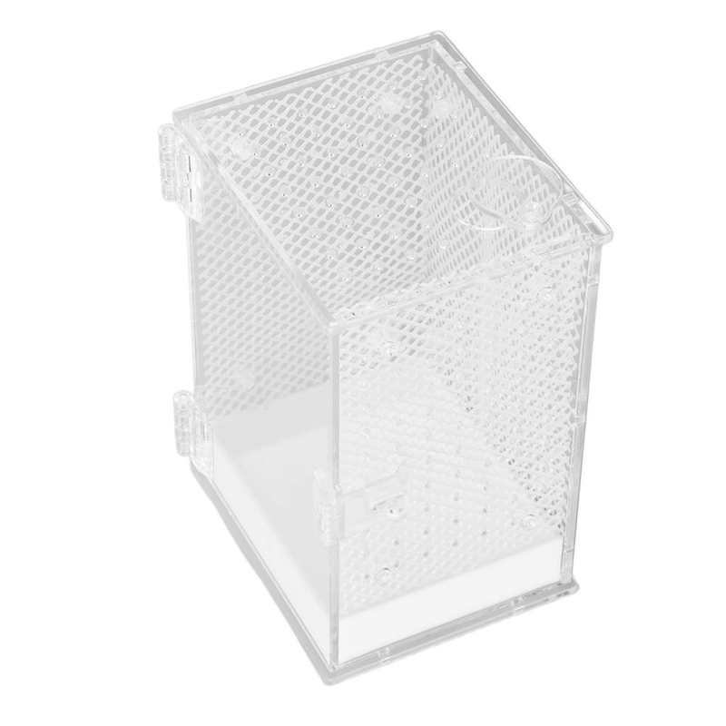 Insects House Landscaping Insect Rearing Box Transparent Feeding Hole Easy Cleaning Acrylic with Climbing Net for Insect Feeding